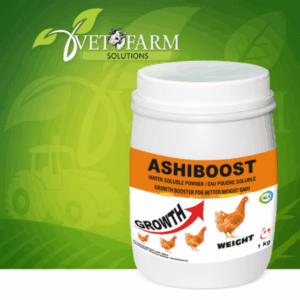 ashiboost
