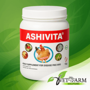 ashivita