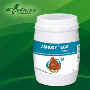 ashoxy egg